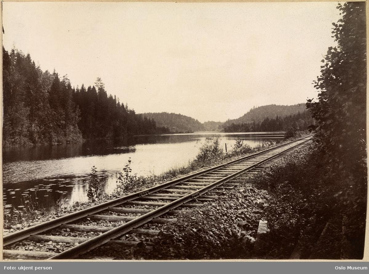 Karen Dorthea Andreasdatter Rummel Matheson (1854-1938) – Kate Zarb